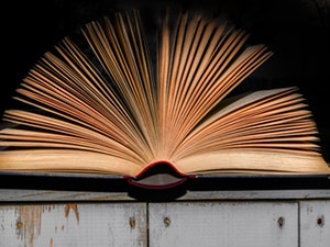Torah Studies