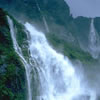 Action